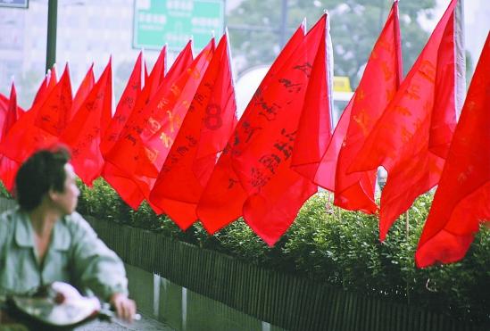 小乌龟逃亡记