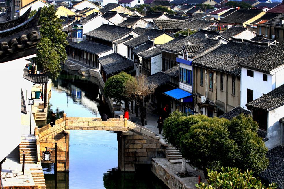 逃离仿真森林
